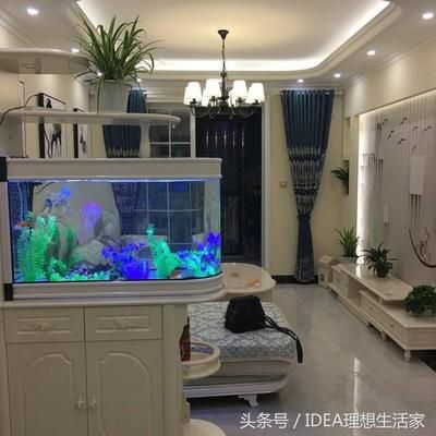 魚缸怎么裝修好看又簡單又漂亮（怎么弄魚缸簡單又好看） 魚缸風(fēng)水 第1張