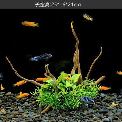 裝飾魚缸視頻（裝飾魚缸的視頻素材推薦） 魚缸風(fēng)水 第1張