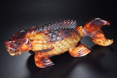 緋玉龍魚（俠客風(fēng)云傳玉龍魚作用及獲得方法介紹） 魚缸風(fēng)水 第5張