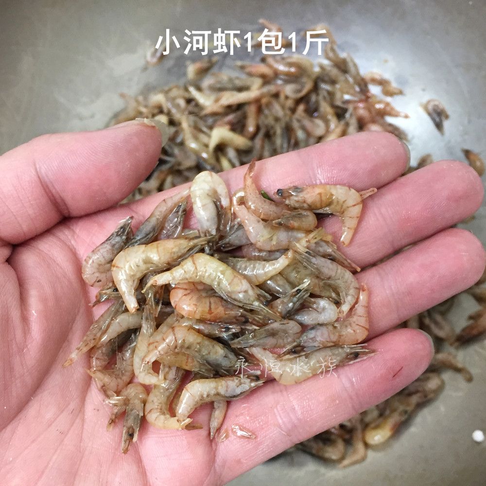 凍蝦怎么凍做龍魚(yú)飼料怎么凍（凍蝦的冷凍方法是什么凍蝦解凍后如何清洗凍蝦保存期限有何科學(xué)依據(jù)） 魚(yú)缸風(fēng)水 第5張