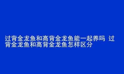 高背金龍魚能長(zhǎng)多大（如何判斷高背金龍魚的健康狀態(tài)）