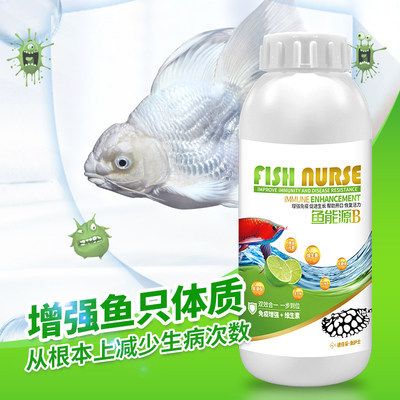 給龍魚喂益生菌有什么好處（龍魚喂益生菌具有多方面的好處龍魚益生菌對龍魚的影響）