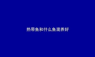 河豚可以和龍魚一起養(yǎng)嗎（關(guān)于河豚和龍魚混養(yǎng)的注意事項） 龍魚百科 第1張