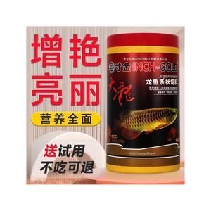 紅龍魚幾個(gè)月開始發(fā)色：正常飼養(yǎng)的紅龍魚，起飛6個(gè)月后開始發(fā)色,魚腮邊緣紋路會出現(xiàn)淺紅到深紅 龍魚百科 第4張