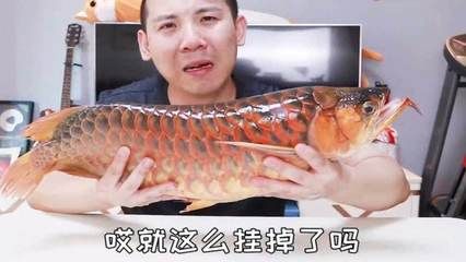 紅龍魚死是什么意思：如何判斷紅龍魚是否死亡 龍魚百科 第1張