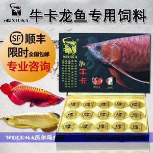 紅龍魚腸炎用什么藥：應(yīng)激性腸炎：通常無需用藥，保證停食、控制水質(zhì)，避免龍魚受驚 龍魚百科 第1張