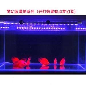 紅龍魚缸用開燈嗎：紅龍魚缸開燈具有多方面的重要作用,紅龍魚缸開燈具有多方面的作用 龍魚百科 第3張