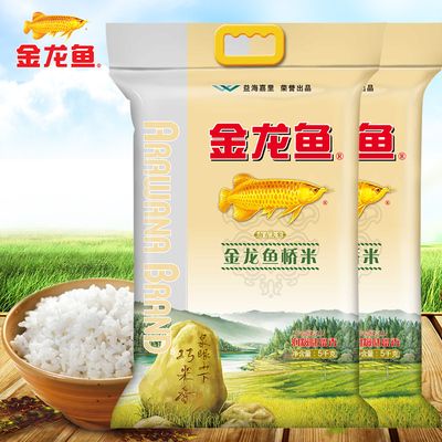 淶源縣龍之菲水族【淶源縣龍之菲水族經(jīng)營(yíng)產(chǎn)品：花鳥魚蟲、漁具零售】 全國(guó)觀賞魚市場(chǎng)