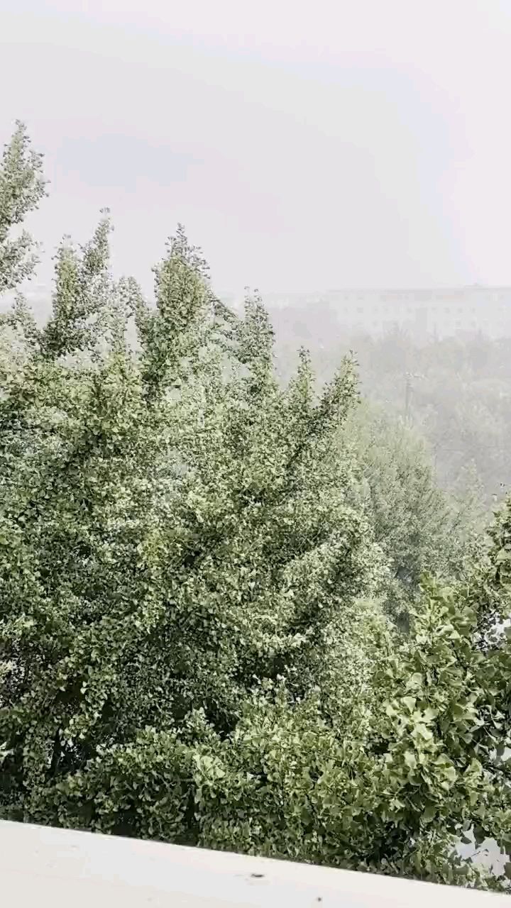 雨好大啊【這雨下的，涼快涼快,蜜糖六六評論：早[需手動填充]】