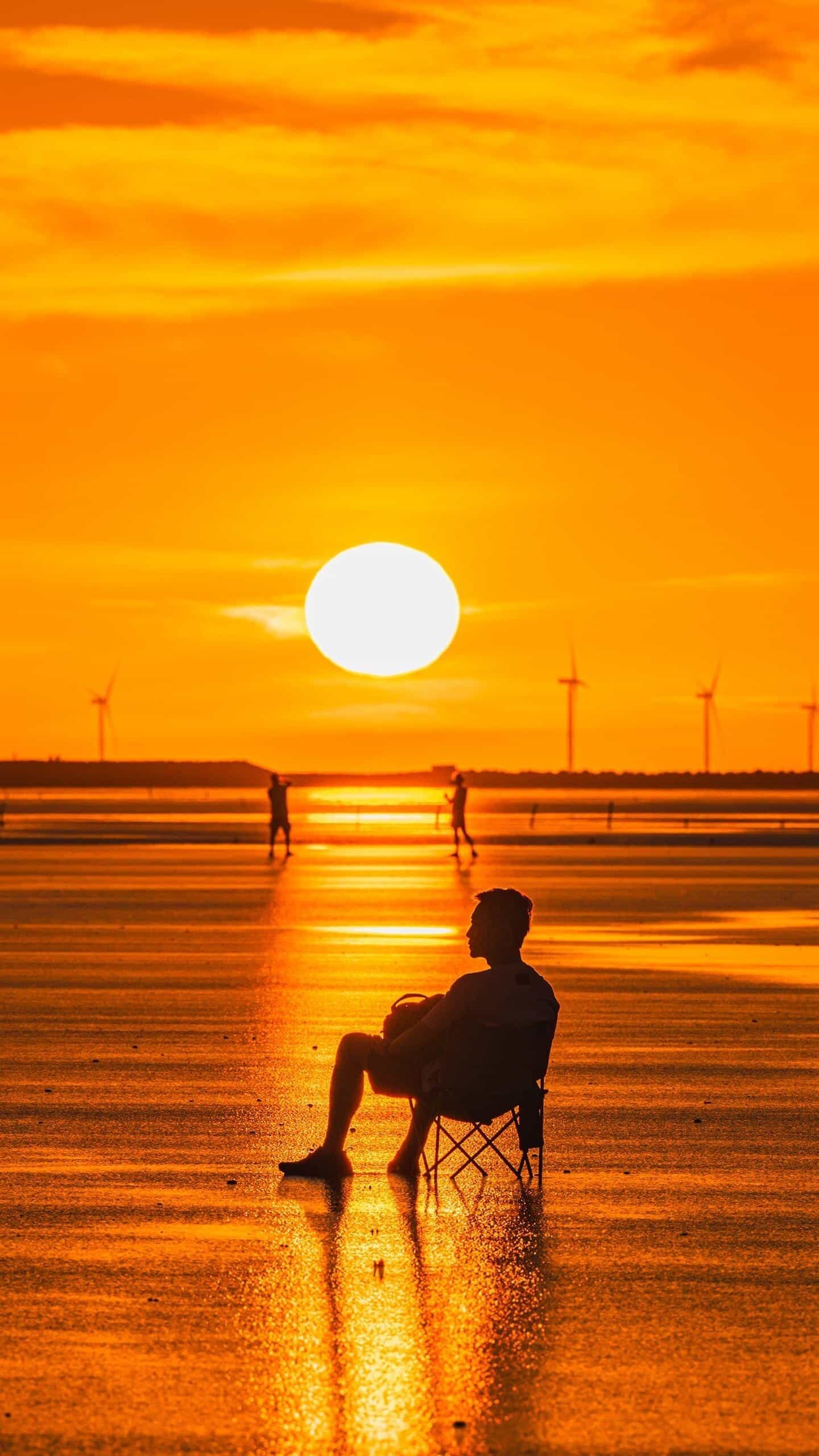 【夕陽無限好】 觀賞魚論壇