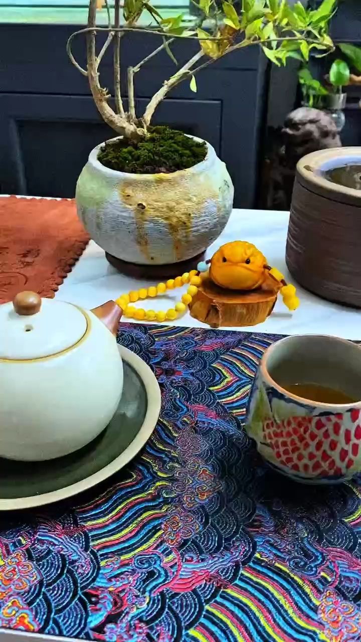 茶愉【茶愉,不聊天但酷】 觀賞魚論壇