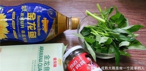 金龍魚不吃食可以下鹽嗎【金龍魚不吃食可以下鹽嗎，】 龍魚百科 第1張