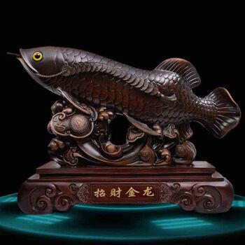 危險【這次買的魚不行】 觀賞魚論壇 第4張