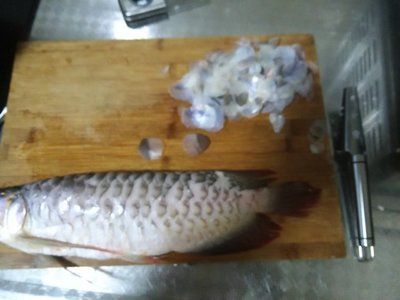 紅龍魚做法大全【紅龍魚做法大全紅龍魚的做法】 龍魚百科 第5張