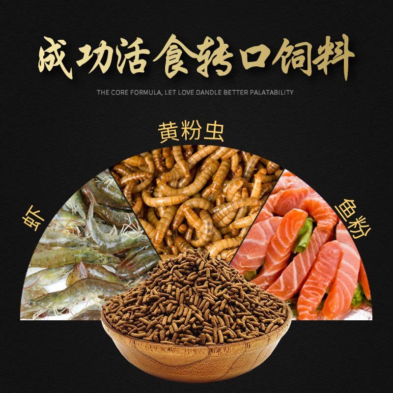 紅龍魚喂什么飼料最好喂什么活食最好【紅龍魚喂什么飼料最好喂什么活食最好喂什么活食最好】 龍魚百科 第4張