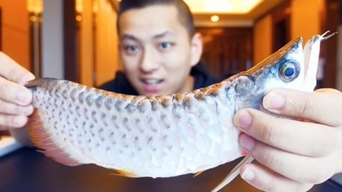 金龍魚被嚇到后怎么處理【金龍魚受驚后怎么處理】 龍魚百科 第3張