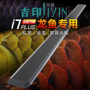 吉印i7龍魚可以用嗎【吉印i7與其他品牌燈具比較】 龍魚百科