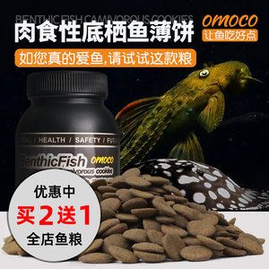 紅龍魚訓練吃顆?！救绾巫尲t龍魚吃顆粒飼料】 龍魚百科 第4張