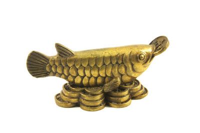 黃銅金龍魚寓意什么【黃銅金龍魚寓意與風(fēng)水】