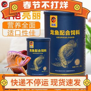 金龍魚 脫肛差不多一個(gè)月了還能好嗎【如何判斷金龍魚脫肛是否能好】 龍魚百科 第5張