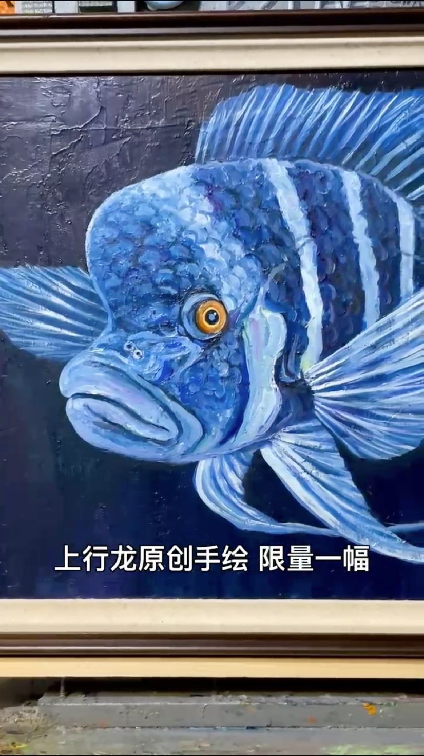 薩伊藍來了，屬于養(yǎng)魚人的一眼好心情！【[kafei],啊哦咿嗚評論：真棒】