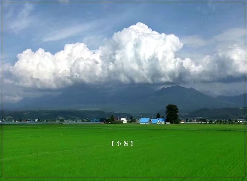 今日小署【今日小署今日小署】 觀賞魚(yú)論壇