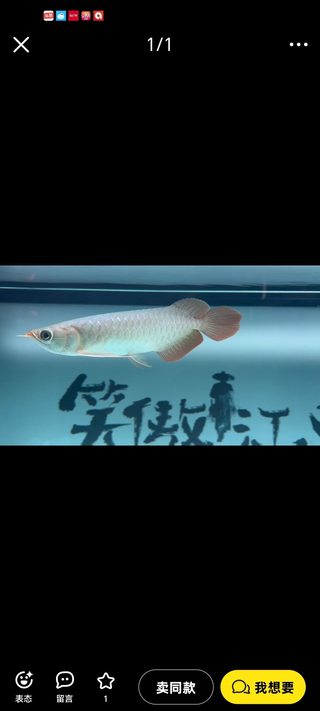 請(qǐng)問(wèn)這是大湖紅龍魚嗎？【昆weixin001評(píng)論：好】 觀賞魚論壇 第2張