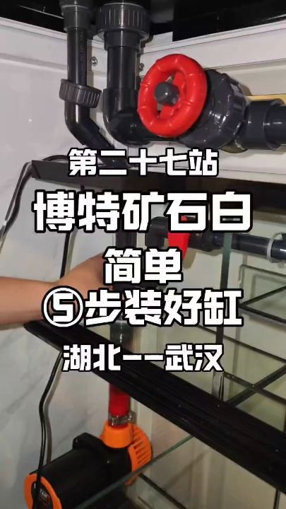 不得不說，現(xiàn)在的轉(zhuǎn)個魚缸安裝是真的簡單，管件集成度很高。這臺 #博特魚缸 顏色搭配看起來很舒服，用下來更舒服 #龍魚缸 #過濾系統(tǒng)【博特魚缸轉(zhuǎn)個魚缸安裝是真的簡單，管件集成度很高】