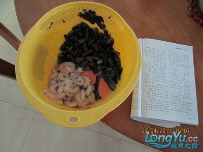 龍魚拔鱗片干嘛【治療受傷或腐爛的鱗片，龍魚拔鱗片手術(shù)時需要注意以下幾點】 龍魚百科 第4張