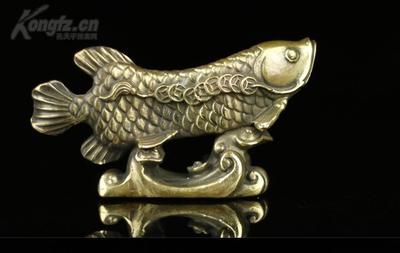 金龍魚可以和招財(cái)魚混養(yǎng)嗎【金龍魚和招財(cái)魚可以混養(yǎng)，但需要注意以下方面水質(zhì)方面】