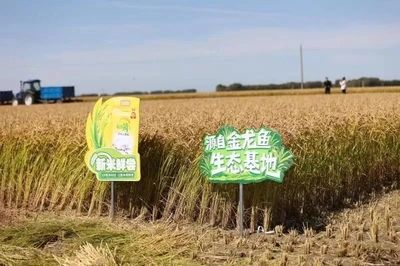 金龍魚糧油生產(chǎn)基地【金龍魚糧油生產(chǎn)基地在哪里？】 龍魚百科 第3張