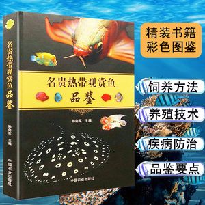 金龍魚能和七彩神仙魚混養(yǎng)嗎【金龍魚可以和七彩神仙魚混養(yǎng)嗎？】 龍魚百科 第4張