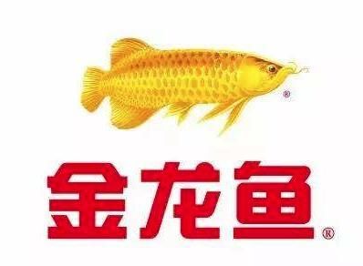 如何養(yǎng)六角恐龍魚視頻【六角恐龍魚的飼養(yǎng)方法】