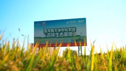 金龍魚企業(yè)吉林電話是多少【益海嘉里金龍魚企業(yè)吉林電話是多少】 龍魚百科 第2張