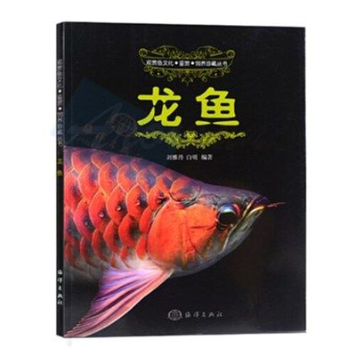 金龍魚魚苗2一5CM多少錢一對(duì)【影響金龍魚魚苗價(jià)格的因素】 龍魚百科 第1張