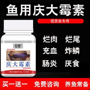 龍魚白眼病是否可以使用慶大霉素治療（慶大霉素可以治療龍魚白眼病嗎？） 龍魚百科 第2張