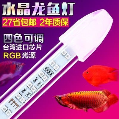 龍魚燈較好的品牌推薦（馬印神燈專注于生產(chǎn)龍魚燈專注于生產(chǎn)龍魚燈產(chǎn)品種類豐富） 龍魚百科 第3張