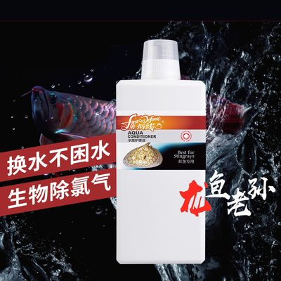 龍魚老孫的店鋪概述（龍魚老孫的店鋪是一家專注于水族用品） 龍魚百科 第4張