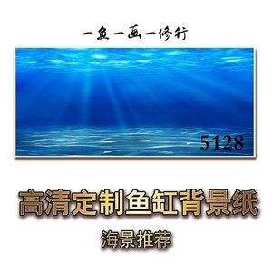 龍魚缸背景紙的選擇（如何選擇龍魚缸背景紙） 龍魚百科 第3張