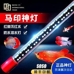 龍魚適合的燈光色溫（金龍魚和紅龍魚的燈光色溫的選擇方法是什么）