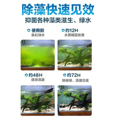 龍魚缸使用除藻劑的注意事項（在龍魚缸中使用除藻劑的種類、使用方法以及可能的風險）