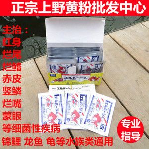 龍魚爛嘴的快速治療方法（如何快速治療龍魚爛嘴） 龍魚百科 第5張