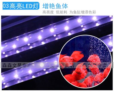 龍魚缸用什么燈比較好（如何選擇龍魚缸的燈光） 龍魚百科 第3張