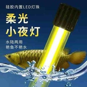 龍魚(yú)缸是否需要放置小夜燈的原因分析（關(guān)于龍魚(yú)缸是否需要放置小夜燈的問(wèn)題，可以從多個(gè)角度進(jìn)行分析） 龍魚(yú)百科 第2張