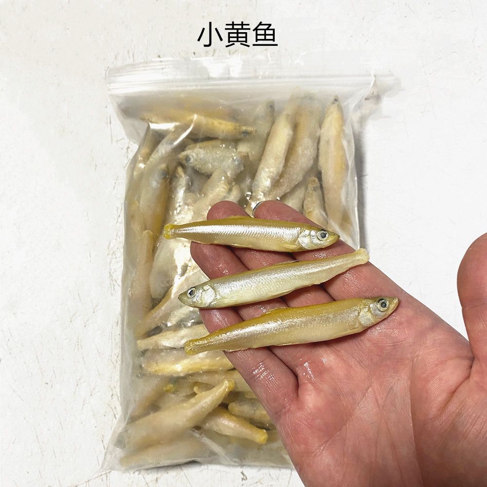 龍魚(yú)吃小河蝦好還是蝦仁好（給龍魚(yú)喂食小河蝦還是蝦仁？） 龍魚(yú)百科 第4張