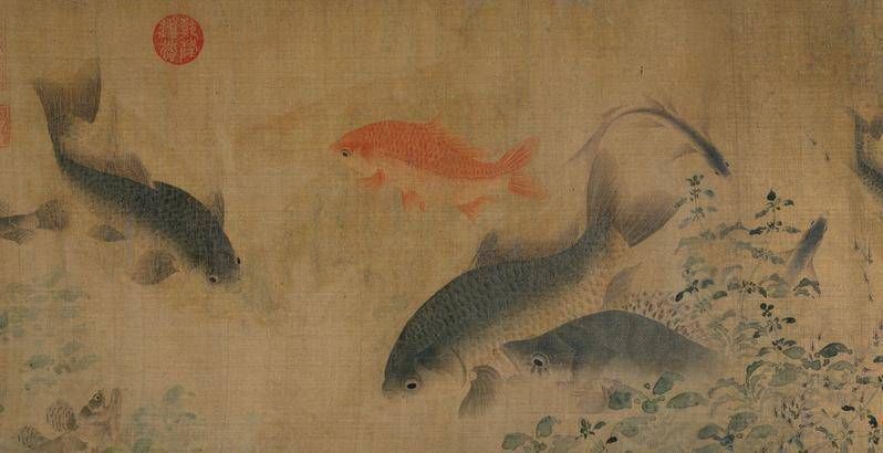 龍魚(yú)的吉祥語(yǔ)言（龍魚(yú)在中國(guó)文化中被視為吉祥的象征其吉祥語(yǔ)言和寓意豐富多樣）