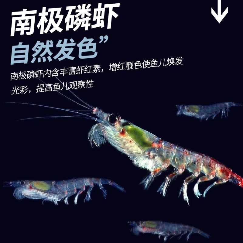 龍魚的飲食習(xí)性和可能的原因（龍魚吃魚糧不吃蝦怎么辦） 龍魚百科 第3張