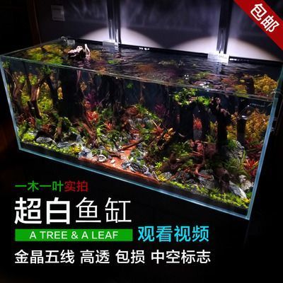 龍魚缸品牌十大排名（龍魚魚缸品牌排行榜） 龍魚百科 第4張