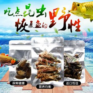 龍魚活餌殺菌方法（龍魚活餌殺菌方法：幾種有效的龍魚活餌殺菌方法） 龍魚百科 第5張