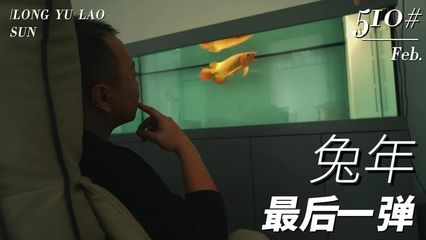 龍魚老孫的可信度分析（龍魚老孫在社交媒體平臺(tái)上擁有一定權(quán)威和專業(yè)知識(shí)） 龍魚百科 第5張